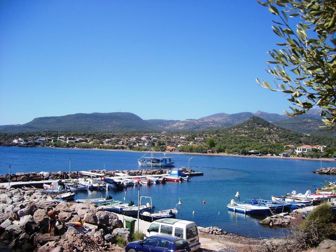 Armonia Houses Tsonia Dış mekan fotoğraf