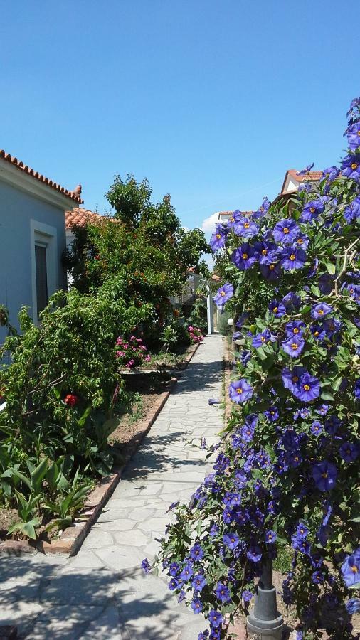 Armonia Houses Tsonia Dış mekan fotoğraf
