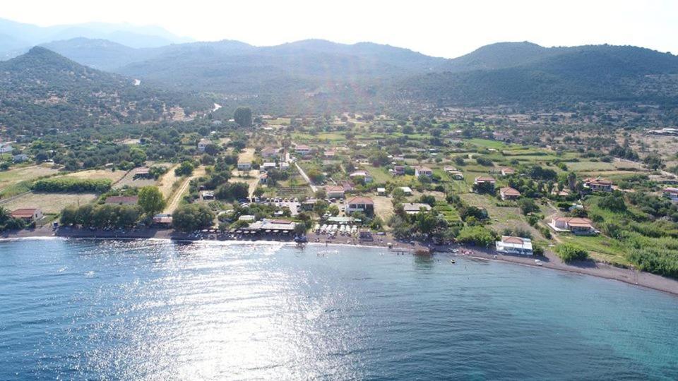 Armonia Houses Tsonia Dış mekan fotoğraf