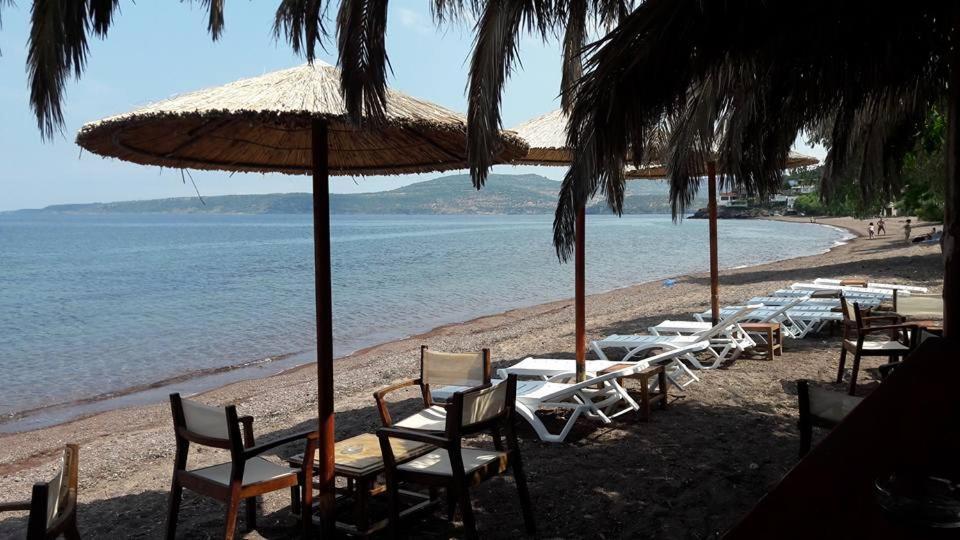 Armonia Houses Tsonia Dış mekan fotoğraf
